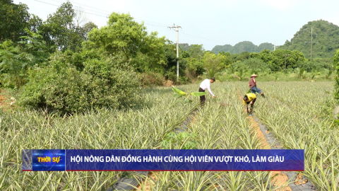 Hội n&ocirc;ng d&acirc;n đồng h&agrave;nh c&ugrave;ng hội vi&ecirc;n vượt kh&oacute;, l&agrave;m gi&agrave;u