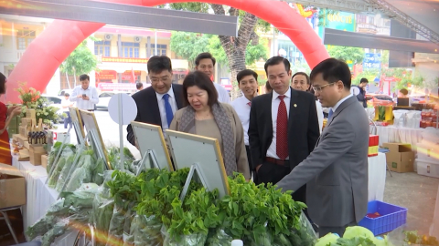 Li&ecirc;n minh Hợp t&aacute;c x&atilde; - Kh&ocirc;ng gian mới - Cơ hội ph&aacute;t triển kinh tế tập thể Ninh B&igrave;nh to&agrave;n diện, bễn vững 