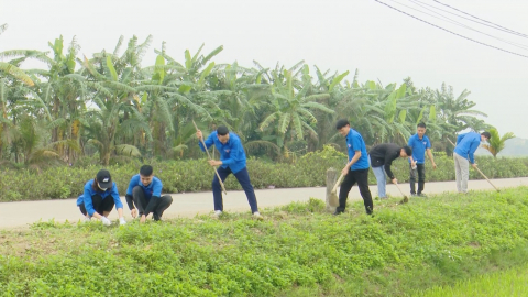 Nhiều việc l&agrave;m thiết thực của tuổi trẻ Y&ecirc;n M&ocirc; trong th&aacute;ng thanh ni&ecirc;n
