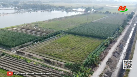 Trần Thương sản xuất vụ đ&ocirc;ng thắng lợi