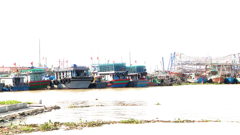 Tăng cường c&ocirc;ng t&aacute;c chống khai th&aacute;c thủy sản bất hợp ph&aacute;p.