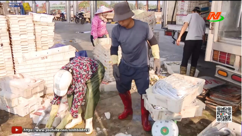 Xu&acirc;n về tr&ecirc;n bến cảng Ninh Cơ