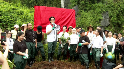 Chương tr&igrave;nh trồng rừng &ldquo;Forestival&rdquo; - Rừng Việt Nam