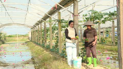 N&ocirc;ng nghiệp an to&agrave;n &ndash; Hướng đi xanh v&agrave; gi&aacute; trị bền vững