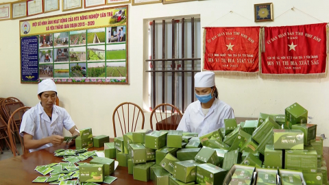 C&aacute;c HTX sản xuất m&ocirc; h&igrave;nh theo chuỗi