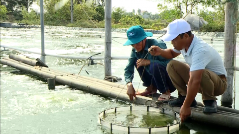 Kim Đ&ocirc;ng triển khai c&aacute;c biện ph&aacute;p bảo vệ thủy sản sau b&atilde;o