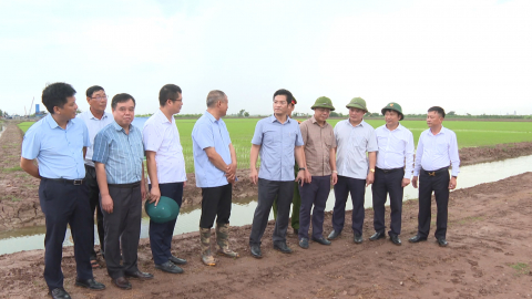 Kiểm tra sản xuất n&ocirc;ng nghiệp vụ M&ugrave;a năm 2026