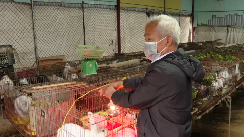 Triển khai c&aacute;c biện ph&aacute;p ph&ograve;ng chống đ&oacute;i, r&eacute;t cho gia s&uacute;c, gia cầm
