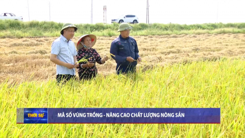 M&atilde; số v&ugrave;ng trồng - N&acirc;ng cao chất lượng n&ocirc;ng sản