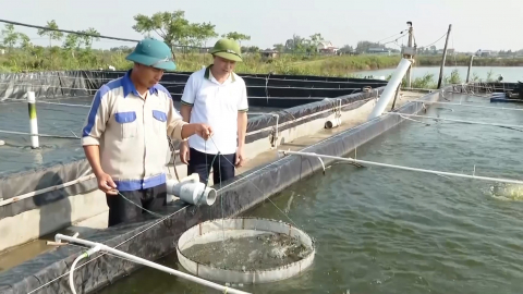 Ninh B&igrave;nh khai th&aacute;c tốt tiềm năng ph&aacute;t triển thủy sản