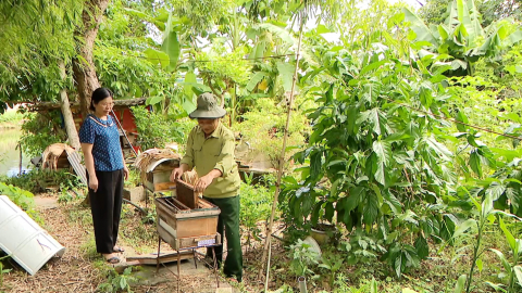 S&aacute;ng m&atilde;i phẩm chất Người l&iacute;nh cụ Hồ