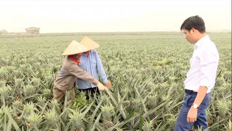 Quang Sơn tập trung ph&aacute;t triển kinh tế