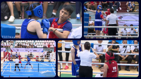 GIẢI V&Ocirc; ĐỊCH BOXING TRẺ TO&Agrave;N QUỐC NĂM 2026 - Từ ng&agrave;y  04/07 đến 10/07/2026, tại Nh&agrave; thi đấu Trần Quốc Toản, phường Nam Định, tỉnh Ninh B&igrave;nh.