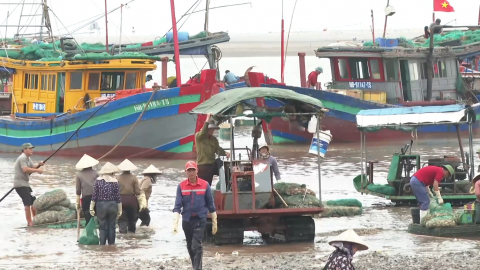 Ninh B&igrave;nh tăng cường bảo vệ, t&aacute;i tạo nguồn lợi thủy sản