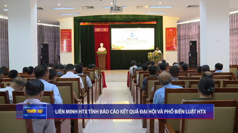 Li&ecirc;n minh HTX tỉnh b&aacute;o c&aacute;o kết quả đại hội v&agrave; phổ biến luật HTX