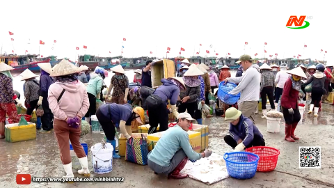 Nhộn nhịp chợ c&aacute; bến Giao Hải