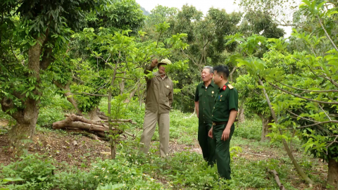 Gương cựu chiến binh l&agrave;m kinh tế giỏi