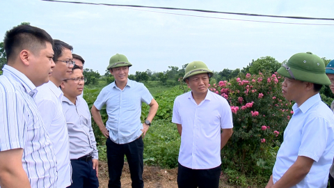 Kiểm tra, đ&ocirc;n đốc tiến độ giải ng&acirc;n vốn đầu tư c&ocirc;ng c&aacute;c dự &aacute;n 