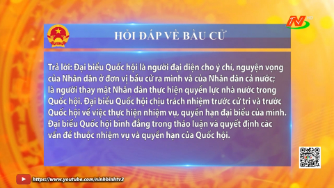 Hỏi đ&aacute;p về bầu cử: Vị tr&iacute;, vai tr&ograve; quyền cơ bản v&agrave; tr&aacute;ch nhiệm của Đại biểu quốc hội