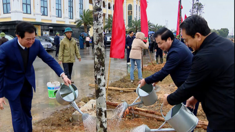Nho Quan ph&aacute;t động Tết trồng c&acirc;y Xu&acirc;n Ất Tỵ 2025