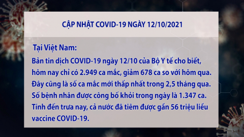 Cập nhật t&igrave;nh h&igrave;nh Covid-19 ng&agrave;y 11/10/2021