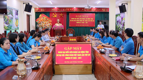 Gặp mặt Đo&agrave;n đại biểu tỉnh Ninh B&igrave;nh dự Đại hội C&ocirc;ng đo&agrave;n Việt Nam lần thứ XIV
