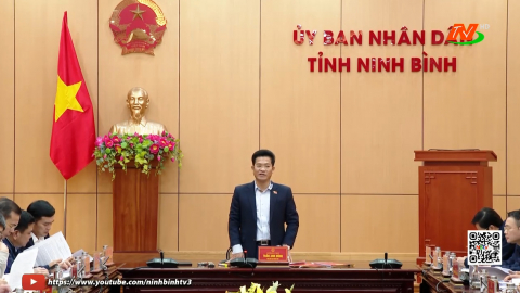Phương &aacute;n ph&aacute;t triển hệ thống đ&ocirc; thị v&agrave; chương tr&igrave;nh nh&agrave; ở tr&ecirc;n địa b&agrave;n tỉnh đến năm 2030