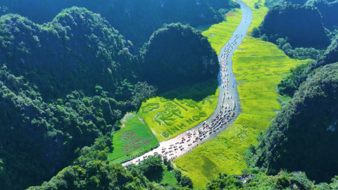 Lễ hội Sắc v&agrave;ng Tam Cốc 2026