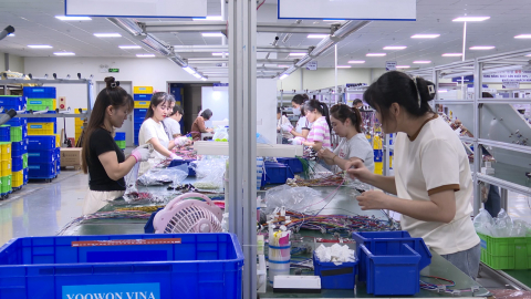 Sẵn s&agrave;ng nguồn nh&acirc;n lực thu h&uacute;t c&aacute;c dự &aacute;n FDI chất lượng cao
