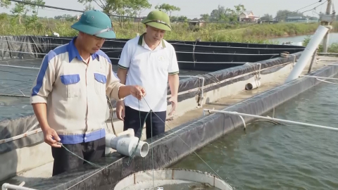 Thủy sản Ninh B&igrave;nh tiếp tục duy tr&igrave; đ&agrave; tăng trưởng