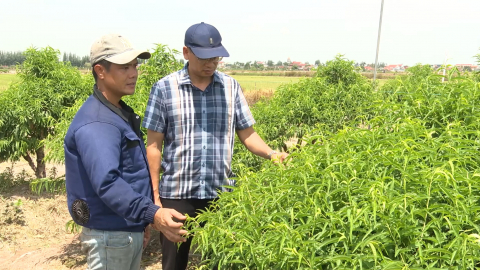 Ph&aacute;t huy thế mạnh của c&aacute;c sản phẩm n&ocirc;ng nghiệp