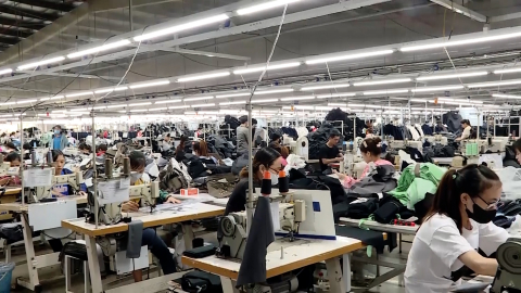 Bảo hiểm x&atilde; hội Tam Điệp triển khai thực hiện luật Bảo hiểm x&atilde; hội 2024
