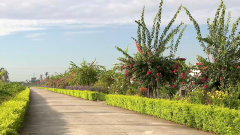 Kh&aacute;m ph&aacute; con đường rực rỡ sắc hoa ở x&atilde; Kh&aacute;nh Ti&ecirc;n, huyện Y&ecirc;n Kh&aacute;nh