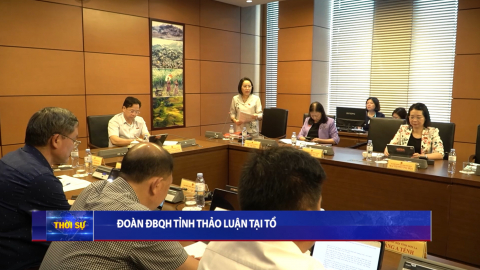 Đo&agrave;n ĐBQH tỉnh thảo luận tại Tổ