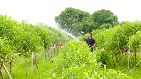 Thanh ni&ecirc;n n&ocirc;ng th&ocirc;n v&agrave; ước mơ "xanh h&oacute;a" qu&ecirc; hương
