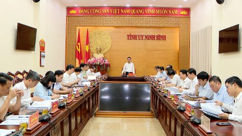 Hội nghị Ban thường vụ Tỉnh ủy ng&agrave;y 11/10/2025