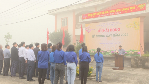 Sở NN&PTNT ph&aacute;t động Tết trồng c&acirc;y xu&acirc;n Gi&aacute;p Th&igrave;n