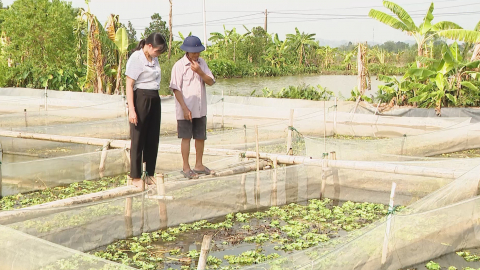 Gia Viễn quan t&acirc;m n&acirc;ng cao thu nhập cho người d&acirc;n