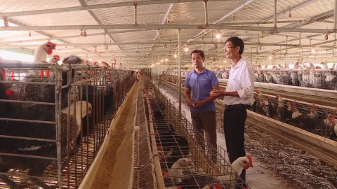 N&ocirc;ng d&acirc;n Y&ecirc;n Kh&aacute;nh thi đua sản xuất, kinh doanh giỏi