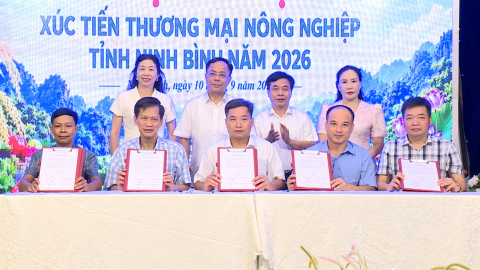 Hội nghị X&uacute;c tiến thương mại N&ocirc;ng nghiệp năm 2026