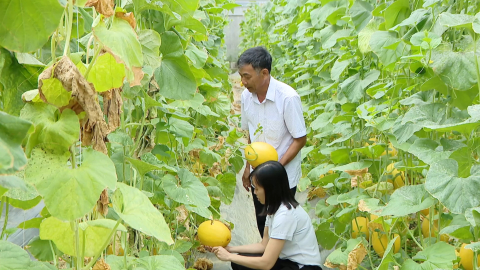 &Ocirc;ng Tống Viết Vinh - Gương n&ocirc;ng d&acirc;n điển h&igrave;nh ti&ecirc;n tiến