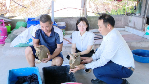 Đổi mới tư duy, n&acirc;ng cao gi&aacute; trị sản xuất