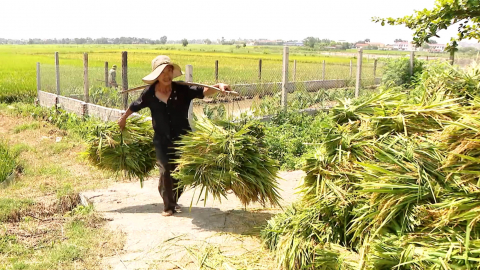 Cảnh b&aacute;o những vấn đề sức khỏe nguy hiểm khi trời nắng, n&oacute;ng