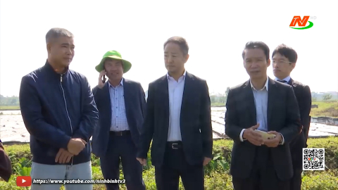 Kỳ vọng những quyết s&aacute;ch đột ph&aacute; về n&ocirc;ng nghiệp n&ocirc;ng th&ocirc;n từ Đại hội XIV của Đảng
