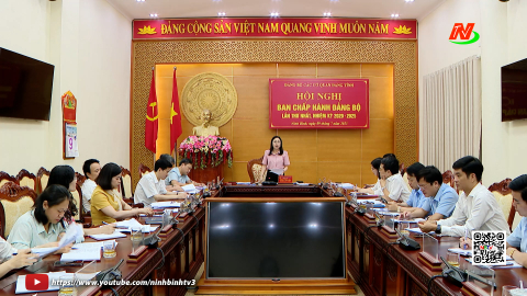Hội nghị Ban Chấp h&agrave;nh Đảng bộ tỉnh c&aacute;c cơ quan Đảng tỉnh