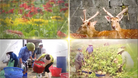 N&ocirc;ng d&acirc;n Ninh B&igrave;nh đổi mới v&agrave; ph&aacute;t triển