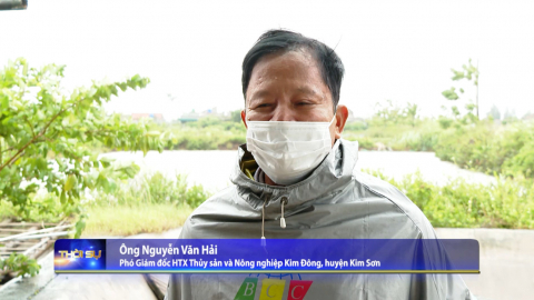 Kim Sơn chủ động ph&ograve;ng chống b&atilde;o, bảo vệ con nu&ocirc;i thủy sản