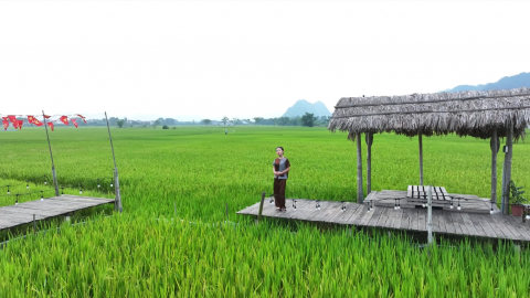 Vang m&atilde;i tuổi thơ