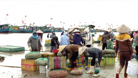 Ninh B&igrave;nh khai th&aacute;c hiệu quả tiềm năng kinh tế biển