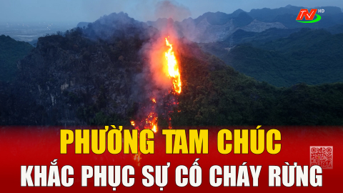 Phường Tam Ch&uacute;c khắc phục sự cố ch&aacute;y rừng